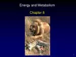 Energy and Metabolism