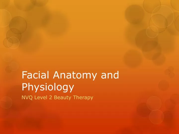 facial anatomy and physiology