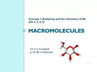 macromolecules