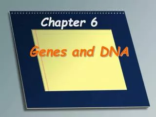 chapter 6