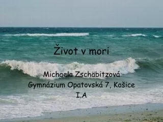 ivot v mori