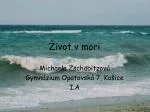 Život v mori - slide 1