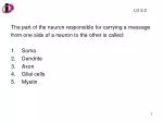 The part of the neuron responsible for carrying a message - slide 1