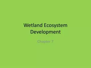 Wetland Ecosystem Development