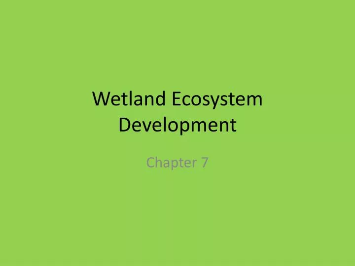 wetland ecosystem development