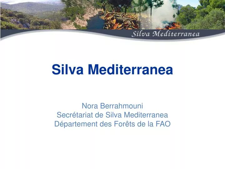 silva mediterranea