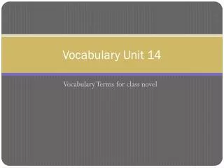 Vocabulary Unit 14