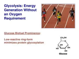 Glycolysis : Energy Generation Without an Oxygen Requirement
