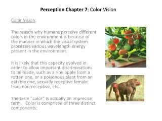 Perception Chapter 7 : Color Vision