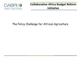 The Policy Challenge for African Agriculture