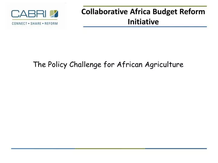 the policy challenge for african agriculture