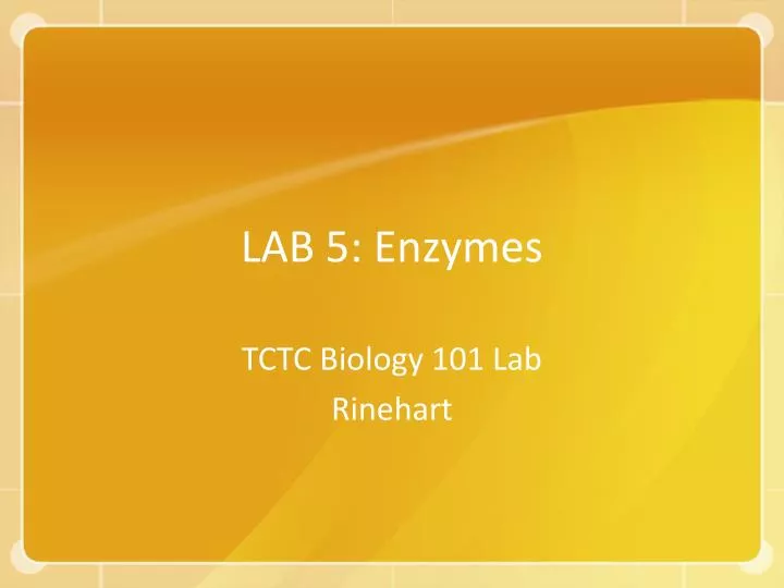 lab 5 enzymes
