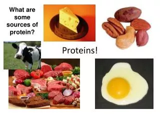 Proteins!