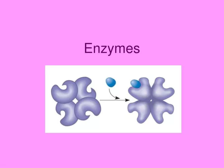 enzymes