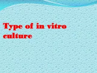 Type of in vitro culture