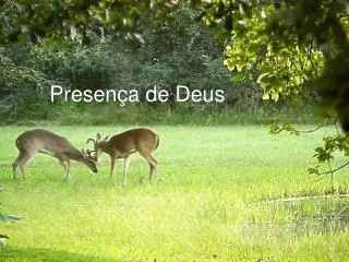 presen a de deus