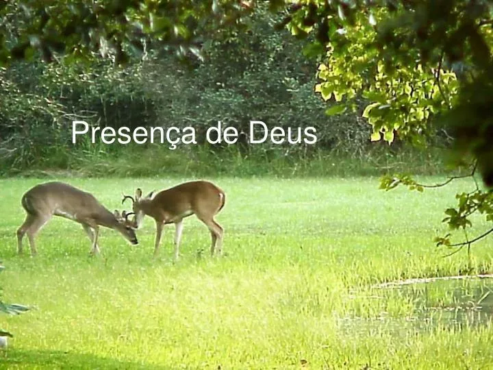 presen a de deus