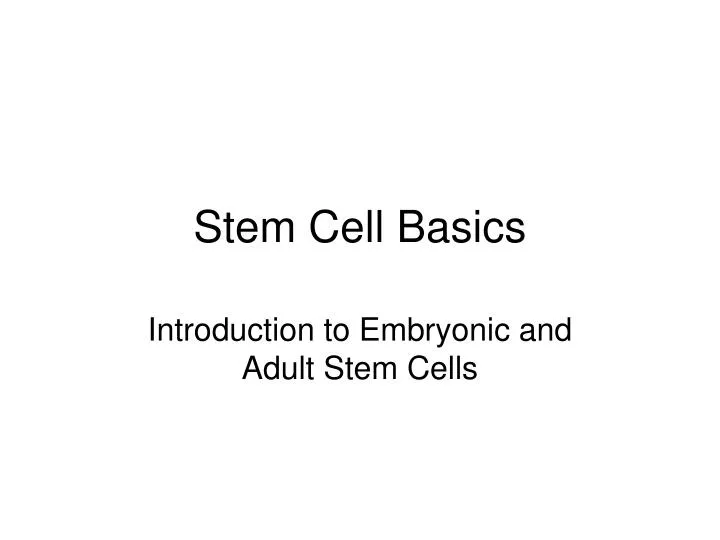 stem cell basics