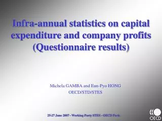 Infra-annual statistics on capital expenditure and company profits (Questionnaire results)