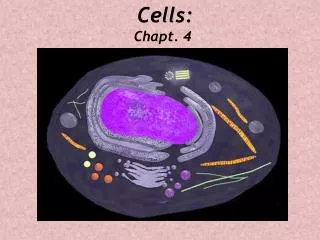 Cells: Chapt. 4
