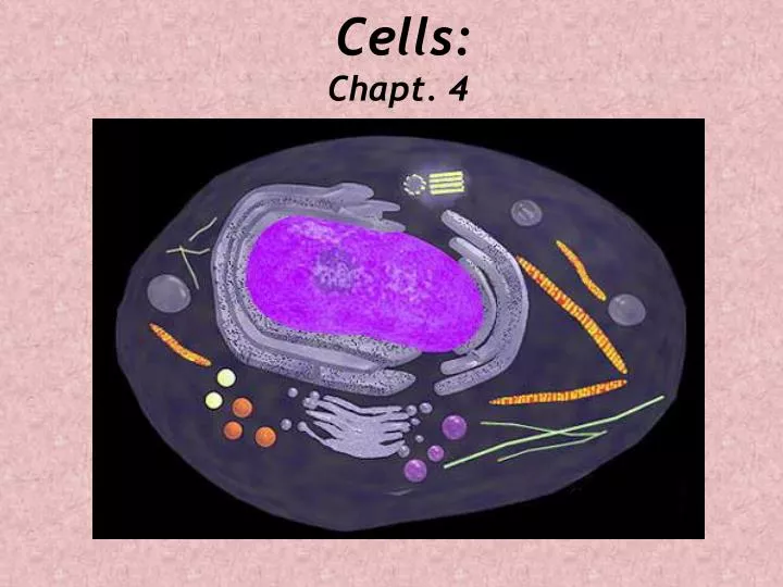 cells chapt 4