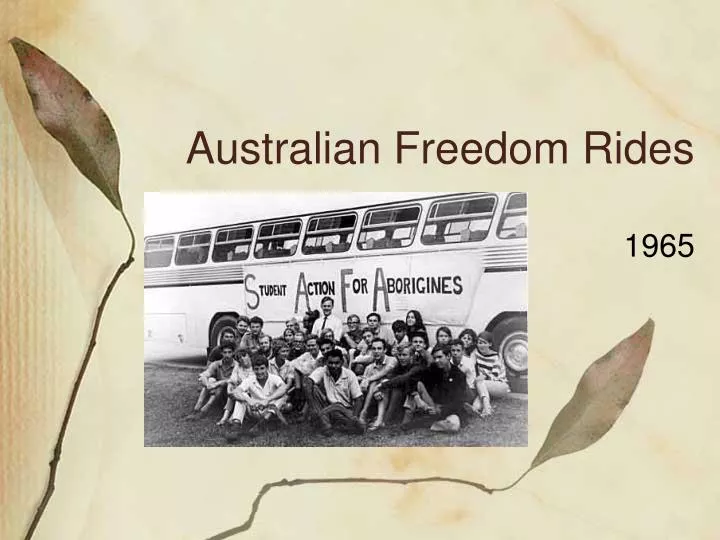 australian freedom rides