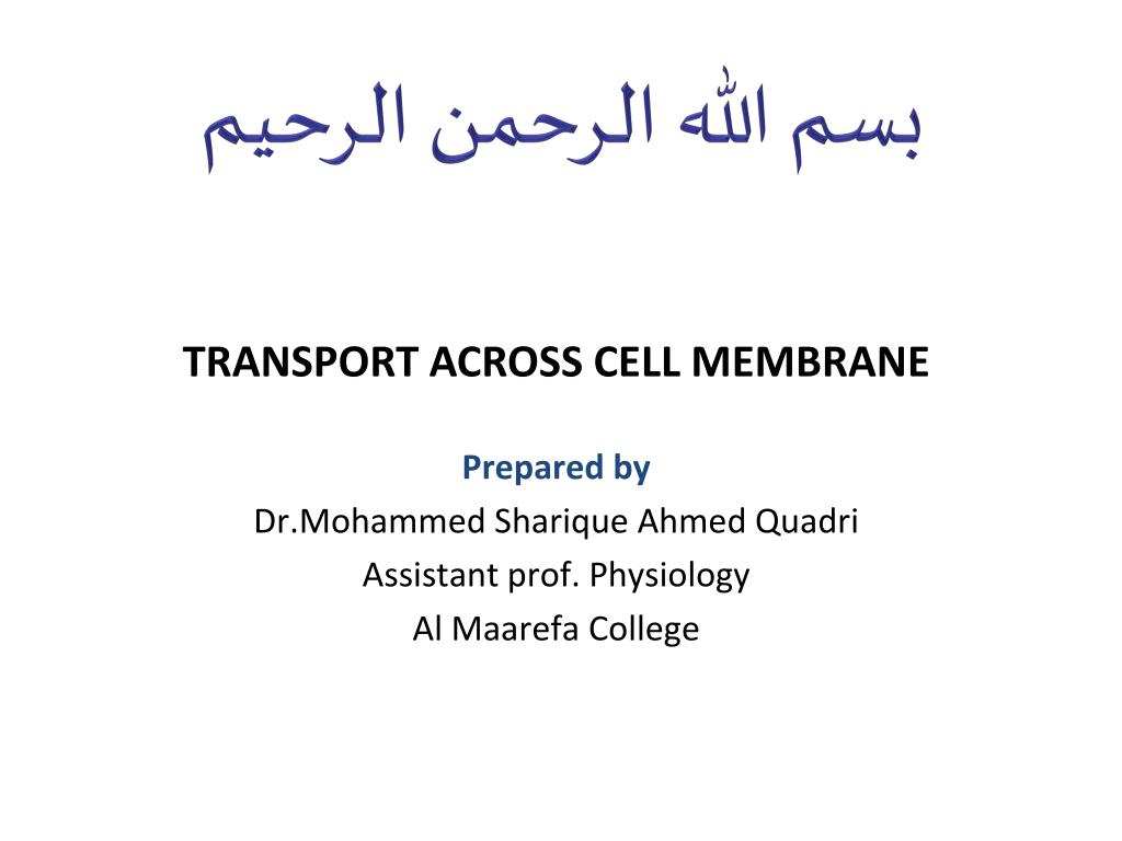 PPT - TRANSPORT ACROSS CELL MEMBRANE PowerPoint Presentation, free ...