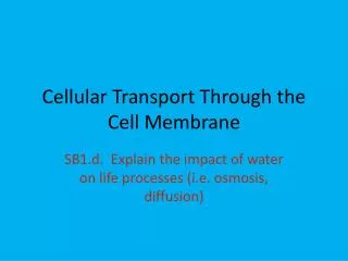 Cellular Transport Through the Cell Membrane