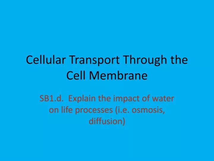 cellular transport through the cell membrane