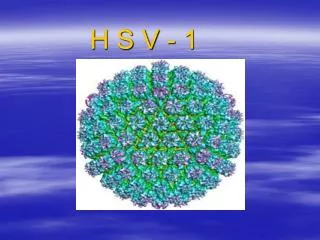 H S V - 1