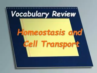 Vocabulary Review