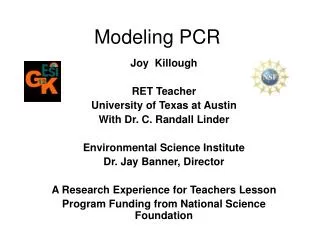 Modeling PCR