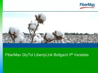 FiberMax Stoneville-Glytol LibertyLink Bollgard II Varieties
