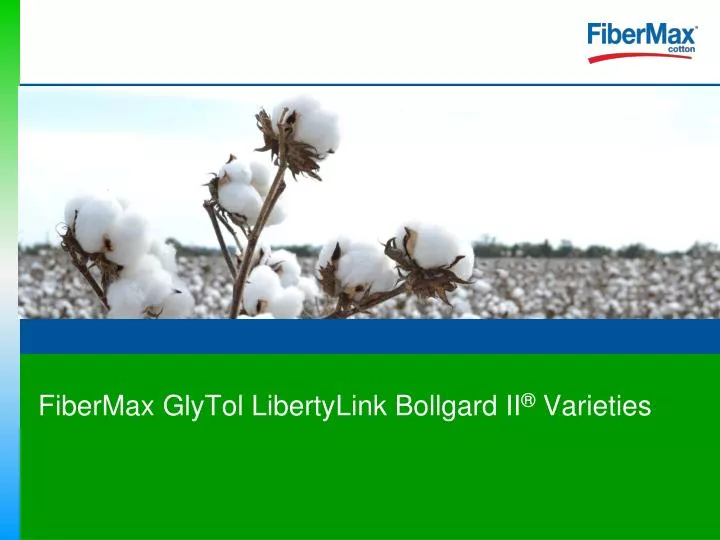 fibermax glytol libertylink bollgard ii varieties