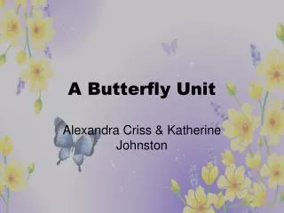 A Butterfly Unit