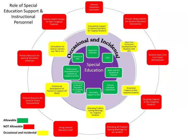 role of special education support instructional personnel