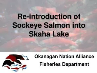 Re-introduction of Sockeye Salmon into Skaha Lake