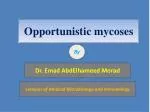 Opportunistic mycoses - slide 1