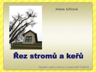 jolana ju icov