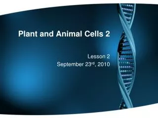 Plant and Animal Cells 2