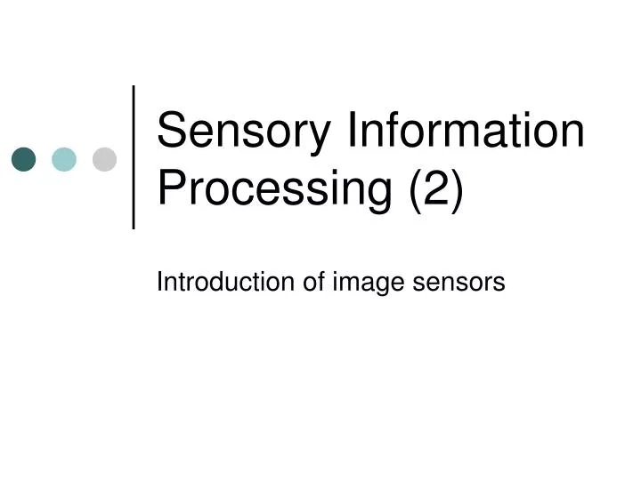sensory information processing 2