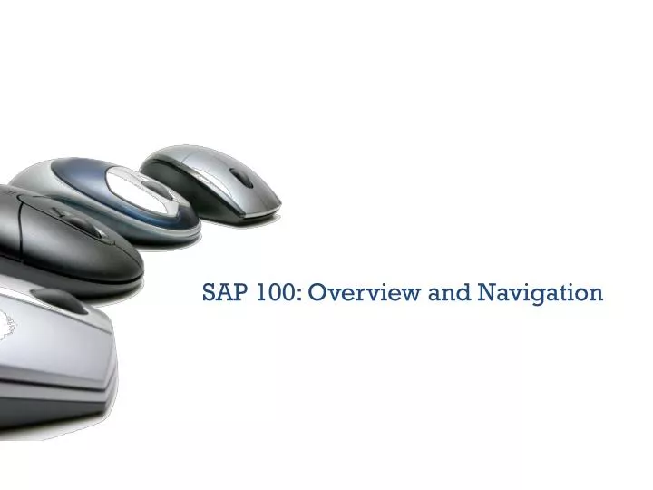 sap 100 overview and navigation