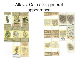 Alk vs. Calc-alk.: general appearance