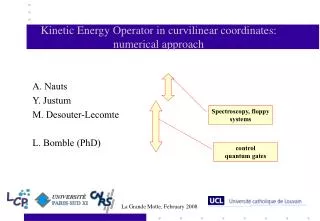 Kinetic Energy Operator in curvilinear coordinates: numerical approach