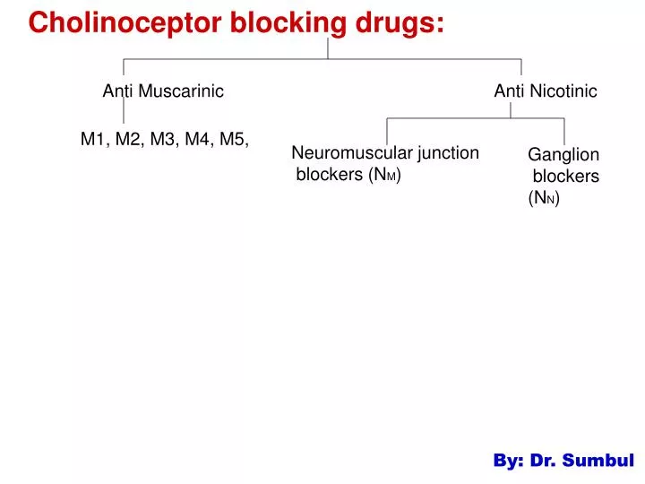 cholinoceptor blocking drugs