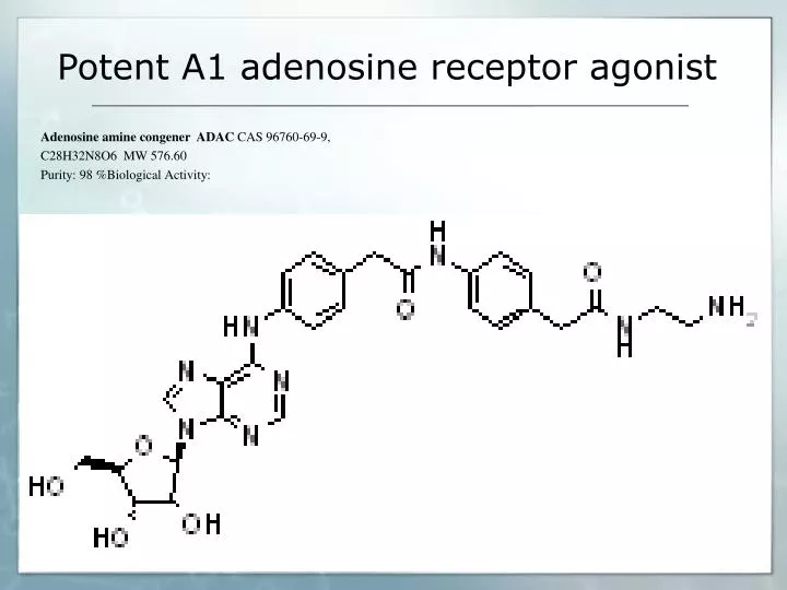 potent a1 adenosine receptor agonist