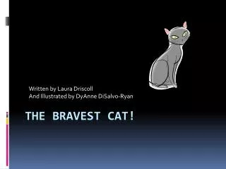 The Bravest CAT!