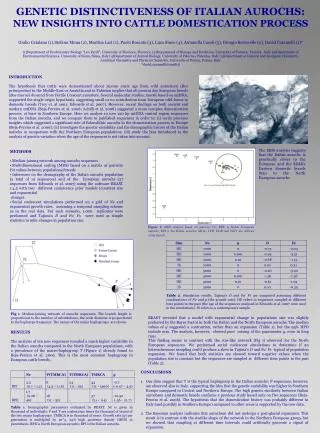 GENETIC DISTINCTIVENESS OF ITALIAN AUROCHS: NEW INSIGHTS INTO CATTLE DOMESTICATION PROCESS