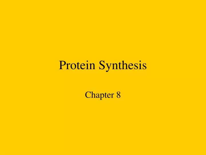 protein synthesis