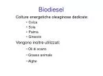 Biodiesel - slide 1